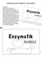 Vorschau - Mal- und Bastelvorlagen - Minibuch Miniheft Flipbook Enzymatik Enzyme - Seite 2