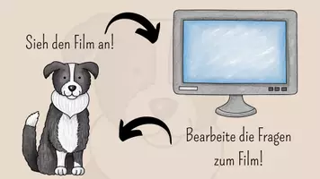 Vorschau - Arbeitsblätter - Vom Wolf zum Hund - Entwicklung und Vergleich - Seite 3