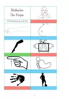 Vorschau - Spiele - Der Körper Grundwortschatz - Bildkarten - Deckblatt
