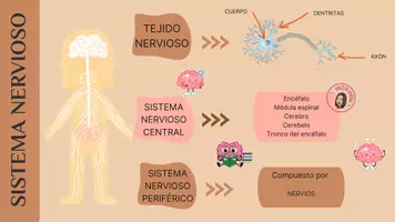 Vista previa - Refuerzo / NEE / Materiales de apoyo - FUNCIÓN DE RELACIÓN - ESQUEMAS VISUALES - página 2