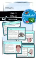 Vorschau - Anderer Materialtyp - Unsere 5 Sinne: Infokarten - Deckblatt