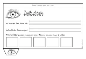 Vorschau - Anderer Materialtyp - Unsere 5 Sinne: Flipbook - Seite 3