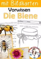 Vorschau - Stundenentwürfe - Die Biene - Einstieg - Vorwissen erheben mit Bildkarten - Deckblatt