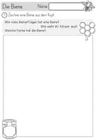 Vorschau - Stundenentwürfe - Die Biene - Einstieg - Vorwissen erheben mit Bildkarten - Seite 3