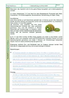 Vorschau - Arbeitsblätter - Enzyme - Experimente und Arbeitsblätter - Seite 3