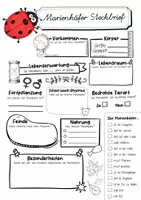 Vorschau - Arbeitsblätter - Steckbrief Marienkäfer - Seite 1