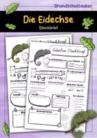 Vorschau - Arbeitsblätter - Steckbrief Eidechse - Deckblatt