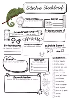 Vorschau - Arbeitsblätter - Steckbrief Eidechse - Seite 1