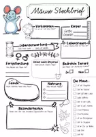 Vorschau - Arbeitsblätter - Steckbrief Maus - Seite 1