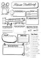 Vorschau - Arbeitsblätter - Steckbrief Maus - Seite 2