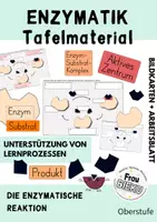 Vorschau - Arbeitsblätter - Bildkarten Enzymatik Tafel Modell Enzyme - Deckblatt