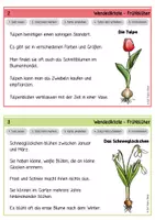 Vorschau - Stationenlernen - Wendediktate - Frühblüher - Seite 2