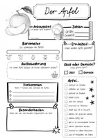 Vorschau - Arbeitsblätter - Steckbrief Apfel - Seite 2