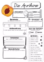 Vorschau - Arbeitsblätter - Steckbrief Aprikose - Seite 1