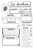 Vorschau - Arbeitsblätter - Steckbrief Aprikose - Seite 2
