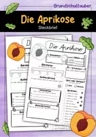 Vorschau - Arbeitsblätter - Steckbrief Aprikose - Deckblatt
