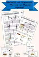 Vorschau - Arbeitsblätter - AB Was wird von Magneten angezogen? - Deckblatt
