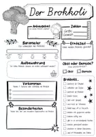 Vorschau - Arbeitsblätter - Steckbrief Brokkoli - Seite 2