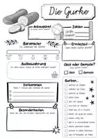Vorschau - Arbeitsblätter - Steckbrief Gurke - Seite 2