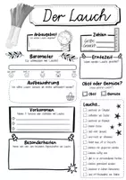 Vorschau - Arbeitsblätter - Steckbrief Lauch - Seite 2