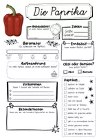 Vorschau - Arbeitsblätter - Steckbrief Paprika - Seite 1