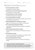Vorschau - Arbeitsblätter - AB mit Fragen zum Thema "Jamaika" + Lösungsblatt + Infografik - Seite 2