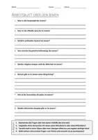 Vorschau - Arbeitsblätter - AB mit Fragen zum Thema "Jemen" + Lösungsblatt - Deckblatt