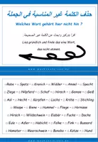 Vorschau - Aufgabenkarten - DaF/ DaZ Arabisch: Welches Wort passt nicht - Lesekarten auch interaktiv - Seite 1