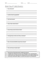 Vorschau - Arbeitsblätter - Lernplakat + AB mit Fragen zum Thema "Kamele" + Lösungsblatt + Infografik - Seite 1