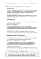 Vorschau - Arbeitsblätter - AB mit Fragen zum Thema "Kamele" + Lösungsblatt + Infografik - Seite 2
