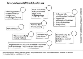 Vorschau - Arbeitsblätter - Naturwissenschaftlicher Erkenntnisweg Arbeitsblatt Merkblatt - Seite 1