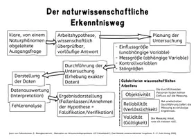 Vorschau - Arbeitsblätter - Naturwissenschaftlicher Erkenntnisweg Arbeitsblatt Merkblatt - Seite 3