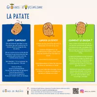 Aperçu - Apprentissages en autonomie - Graines de Naturo - La pomme de terre - Fiche pédagogique - Page 3