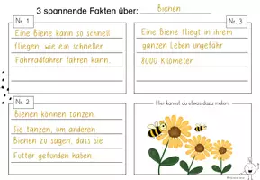 Vorschau - Arbeitsblätter - Informationen aus Sachtexten entnehmen und sammeln - Seite 3