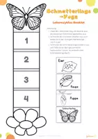 Vorschau - Stundenentwürfe - Schmetterling Lebenyszyklus - Yoga-Karten, Atemübung, Entspannung - Seite 3