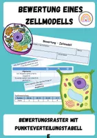 Vorschau - Anderer Materialtyp - Bewertung eines Zellmodells - Deckblatt
