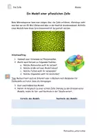 Vorschau - Anderer Materialtyp - Zellmodell_Materialpaket - Deckblatt