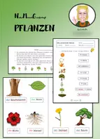 Vorschau - Unterrichtsreihen - NMG Pflanzen: Lexikon, Bilder, Lernziele, Lernkontrolle - Deckblatt