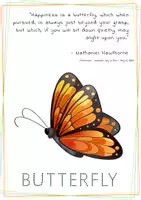 Aperçu - Feuilles d'exercices - Butterfly Adventure: Engaging Worksheet Activities for Toddlers / Butterfly Adventure : Activités pour les tout-petits - Page 1