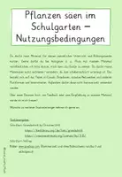 Vorschau - Merkblätter - Saatanleitungen - Pflanzen im Schulgarten - Seite 3