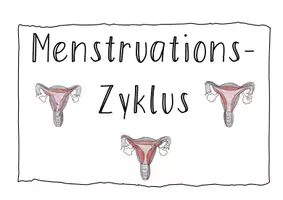Vorschau - Arbeitsblätter - Menstruationszyklus Klettmappe - Seite 1