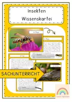 Vorschau - Unterrichtsreihen - Insekten - Wissenskartei - Deckblatt