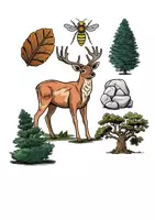 Vorschau - selbst erstellte Cliparts/Grafiken - Cliparts Set "Wald - Mix Bäume & Tiere" - Deckblatt