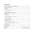 Vorschau - Stundenentwürfe - Weihnachten in anderen Ländern - Schriftlicher Unterrichtsentwurf - Seite 2