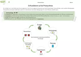 Vorschau - Arbeitsblätter - Experimente zu den Einflussfaktoren auf die Photosynthese | Fotosynthese - Deckblatt
