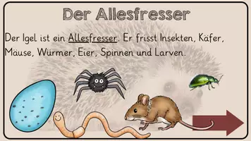 Vorschau - Arbeitsblätter - Was frisst der Igel - Unterrichtseinheit - Seite 3