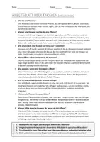 Vorschau - Arbeitsblätter - AB mit Fragen zum Thema "Knospen" + Lösungsblatt + Infografik - Seite 2