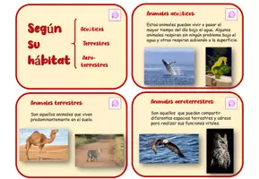 Vista previa - Unidades / Secuencias / Situaciones de Aprendizaje - ANIMALES SEGÚN SU HÁBITAT - página 1