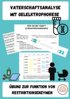 Vorschau - Arbeitsblätter - Vaterschaftsanalyse - Wer ist der Täter? - Deckblatt