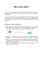 Vorschau - Arbeitsblätter - Vaterschaftsanalyse - Wer ist der Täter? - Seite 3